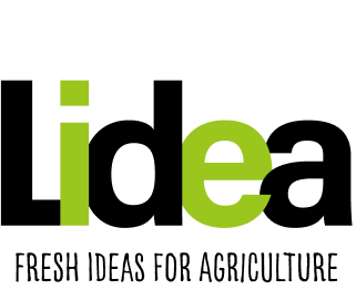 Lidea-seeds